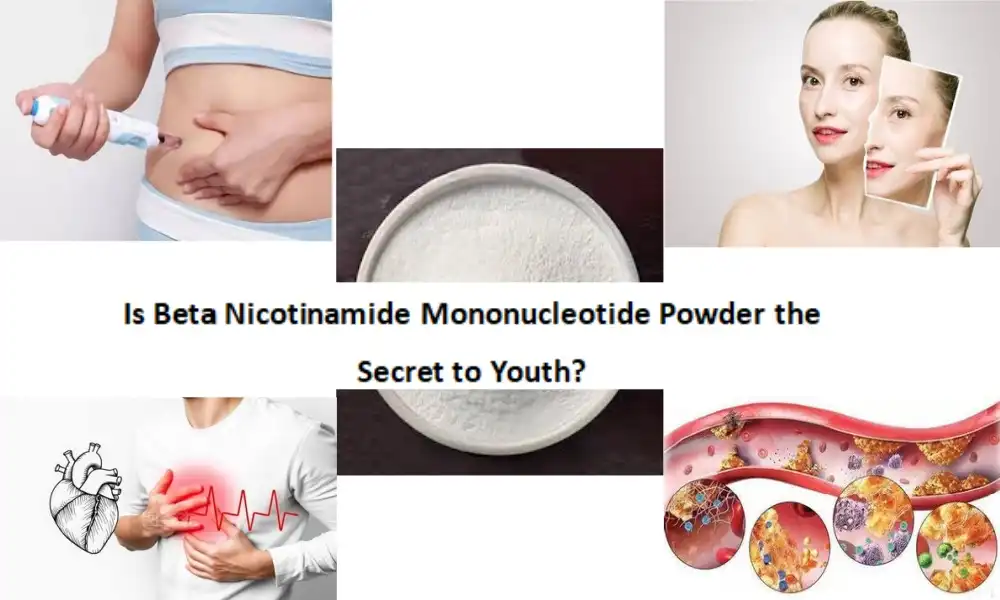 Is Beta Nicotinamide Mononucleotide Powder the Secret to Youth?